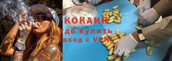 дурь Алзамай