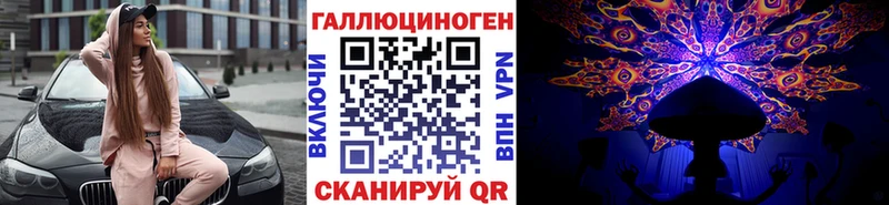 Псилоцибиновые грибы Psilocybe  Ступино 