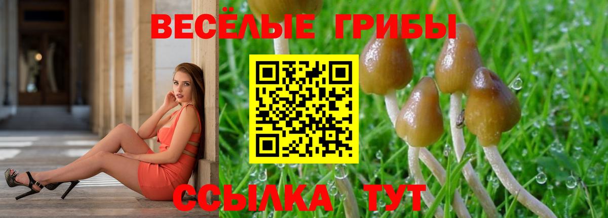 где купить   Псилоцибиновые грибы Psilocybe  Вход с VPN  Ступино 