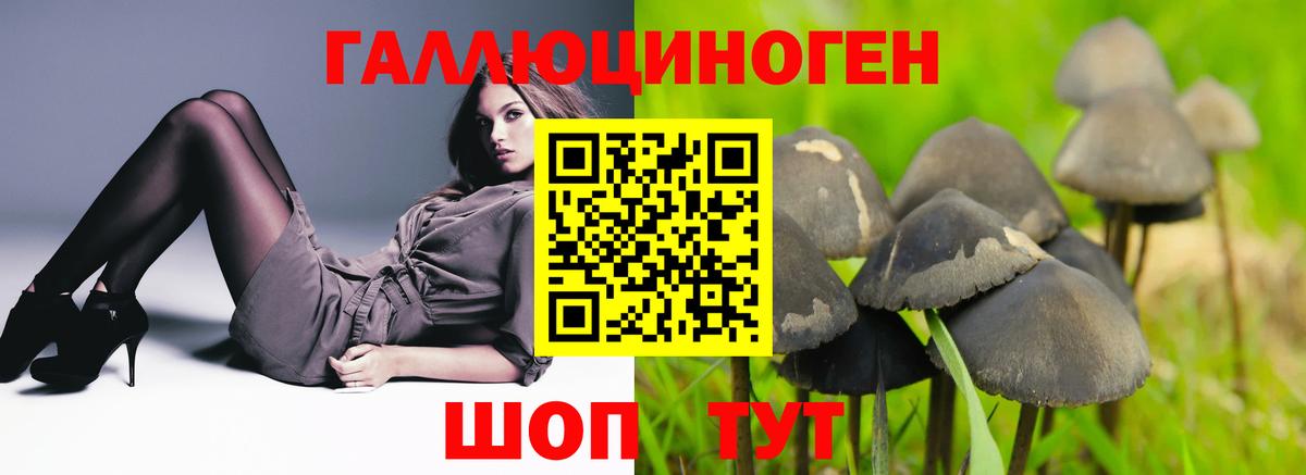 Галлюциногенные грибы MAGIC MUSHROOMS Ступино